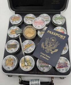 whole melts travel suitcase