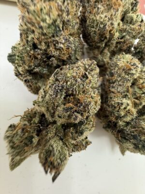 glo woppers exotic flower