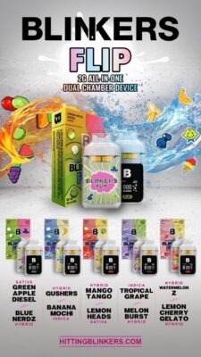 blinkers flip 2g disposable