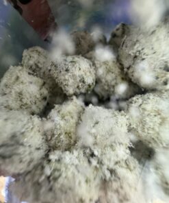 bounty farms bounty box snowcaps