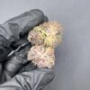 purple gushers weed strain