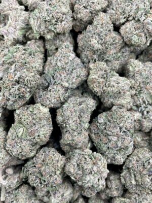 purple gushers weed strain