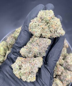 rainbow beltz strain​