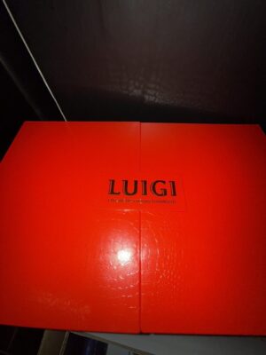 luigi v7 2g disposable