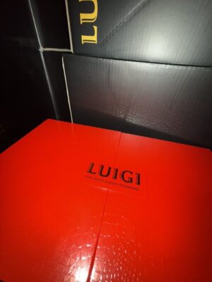 luigi v7 2g disposable