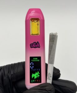 stoner stix world tour