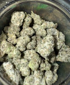 zetti snowcaps