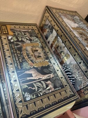hitz safari series
