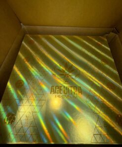 ace ultra world cup disposable