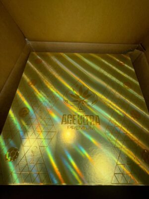 ace ultra world cup disposable